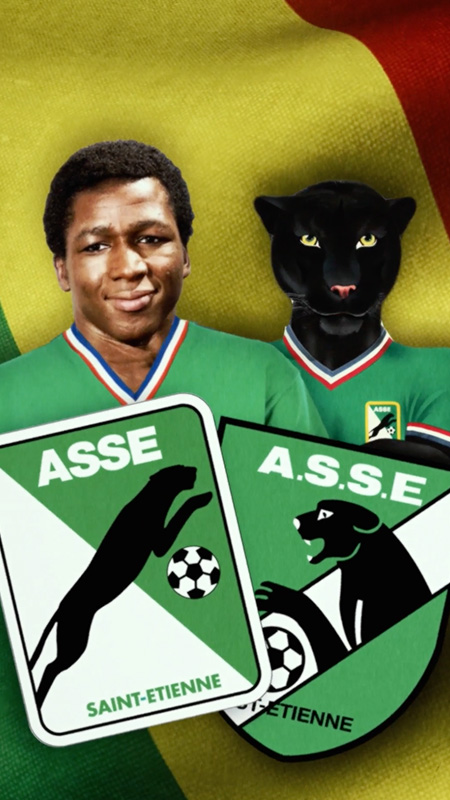 Musée des Verts - Portrait de Salif Keita (mixed medias)