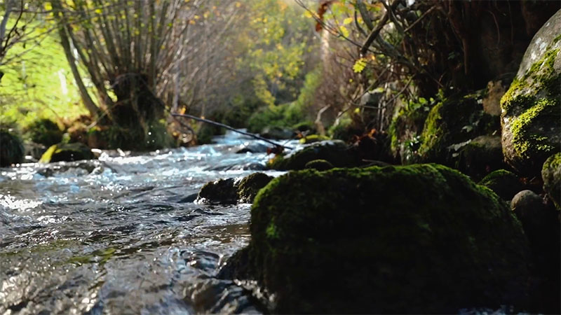 Loire Forez Agglomération - L'Histoire d'un bassin versant